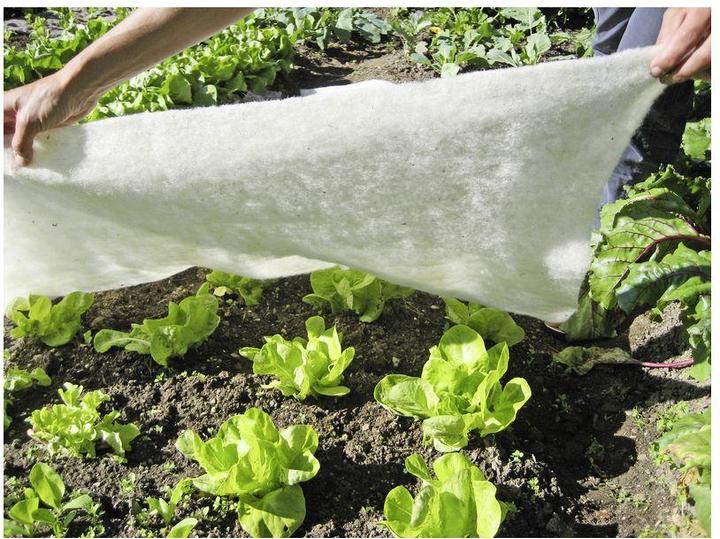 Immagine prodotto Windhager Coperta in pile