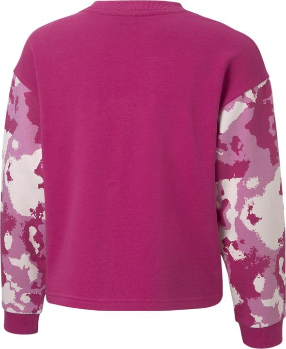 Image du produit Puma Équipe Alpha (176)