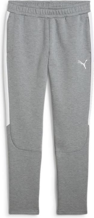 Image du produit Puma teamEVOSTRIPE Pants (XXL)