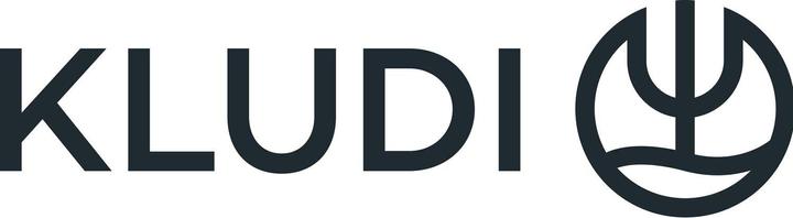 Actual product image Kludi L-STEEL single-lever kitchen tap with swivelling spout