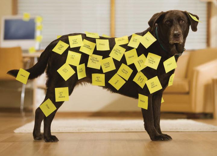 Immagine prodotto Post-it Haftnotzien (76 x 76 mm)