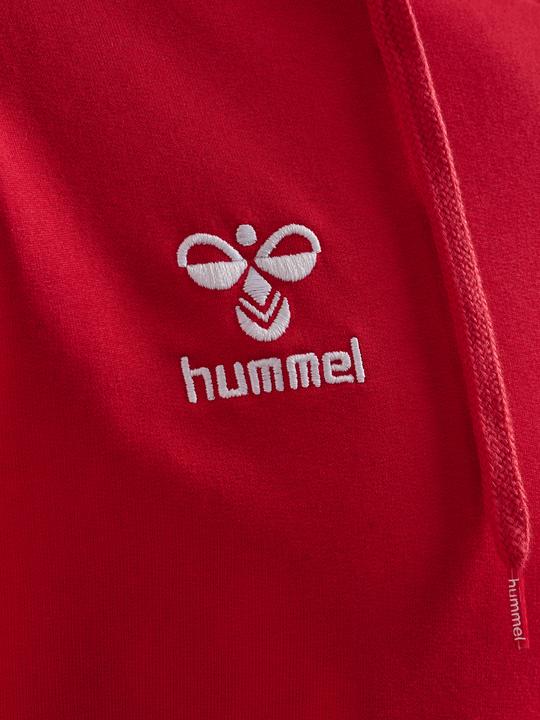 Image du produit hummel HOODIE HMLGO 2.0 (XL)