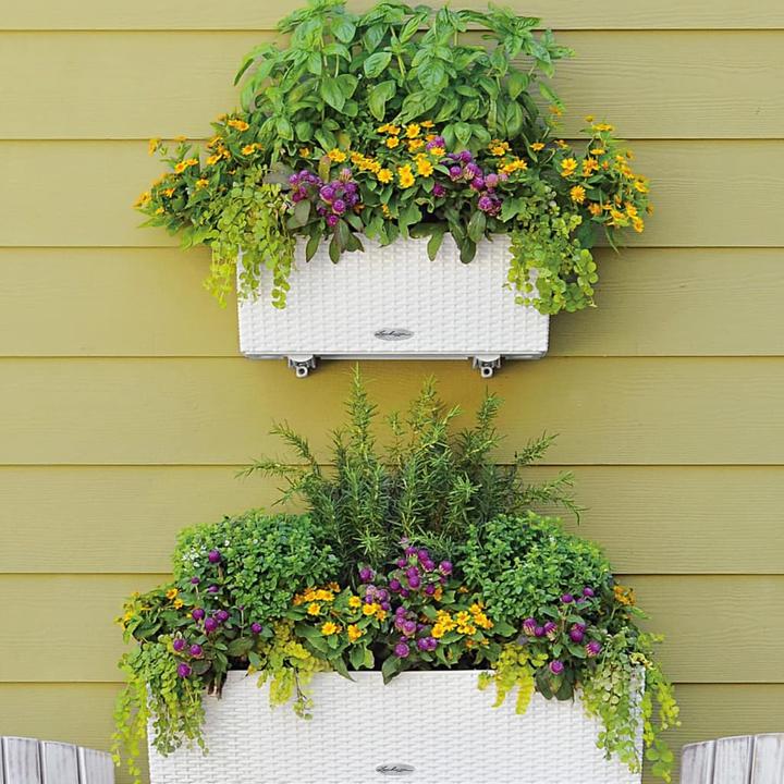 Image du produit Lechuza Chalet Balconera (19 cm)