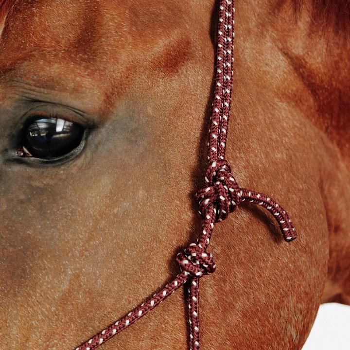 Produktbild Caperlan Knotenhalfter Natural Horsemanship Pferd/Pony bordeaux