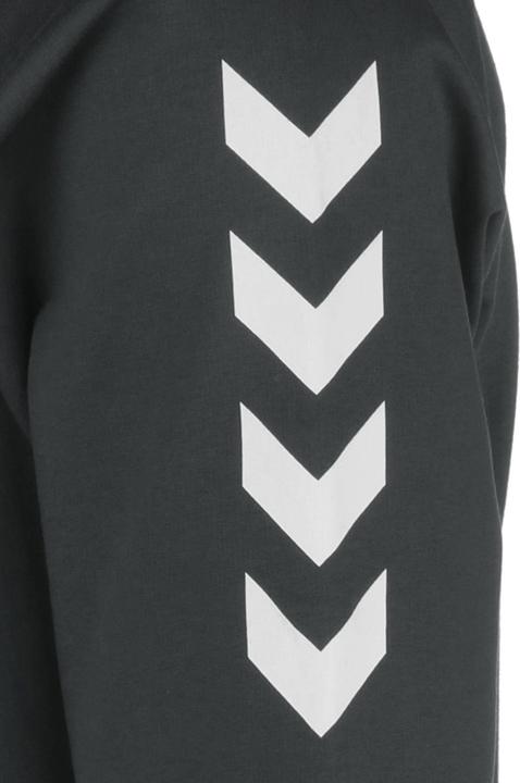 Produktbild hummel hmlGO Cotton Kapuzenpullover Herren (3XL)