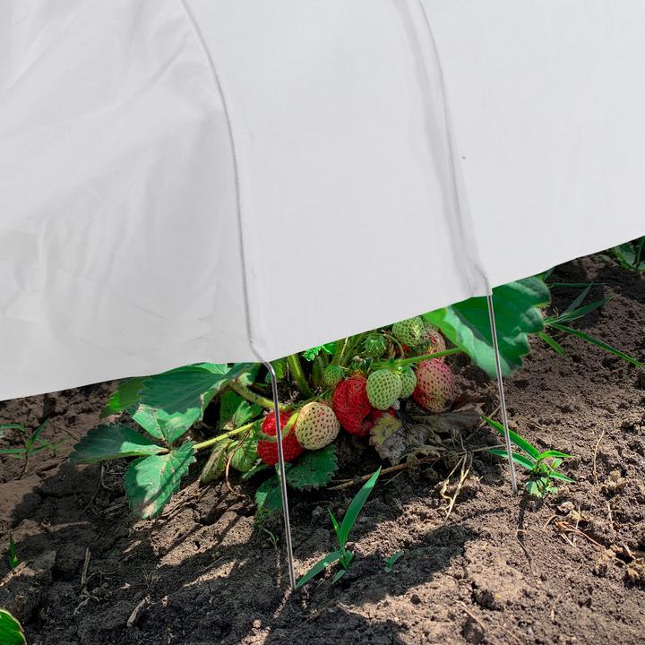 Actual product image Relaxdays 2x plant tunnel