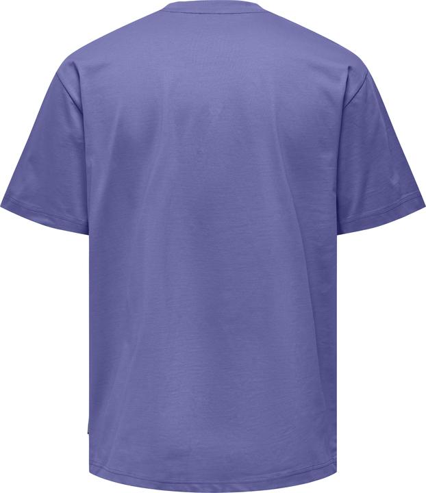 Actual product image Only & Sons Loose fit round neck T-shirt T-shirt (L)