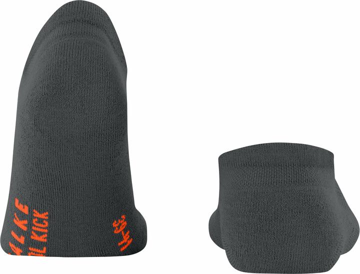 Image du produit Falke 16609 (Une unité par pack, 35 - 36)