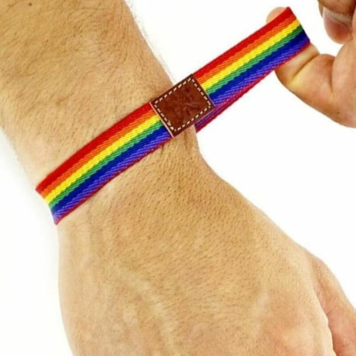 Immagine prodotto ? Braccialetto Di Gomma Per Ragazzi Orgoglio Di Lusso (11.50 cm)