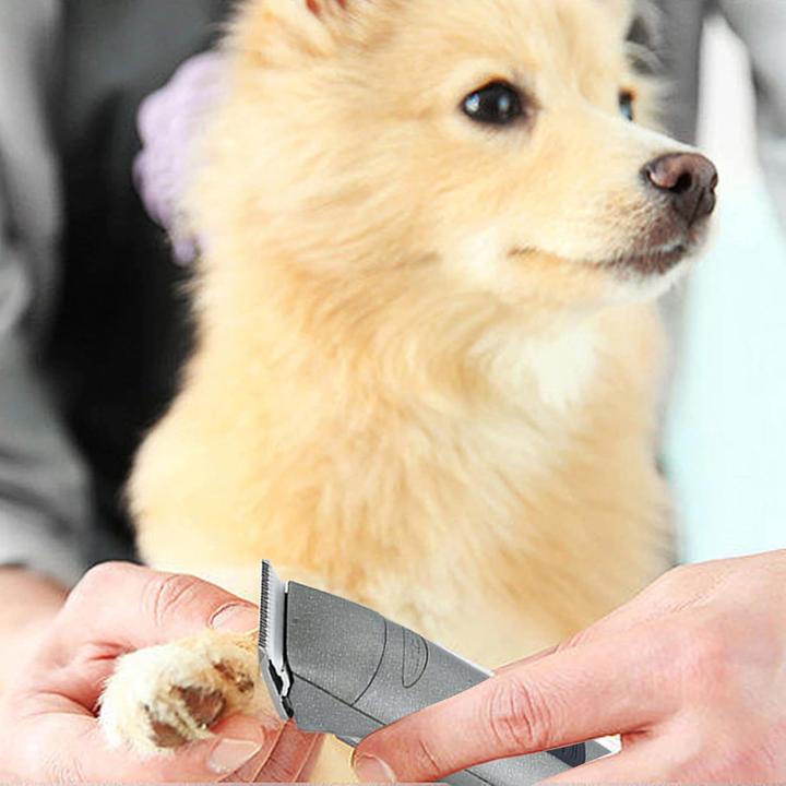 Image du produit Cosyonall 5FC Scherkopf für Andis/Oster A5/Wahl KM Hundeschermaschinen (Chien)