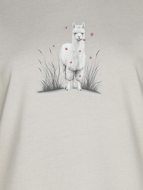 Actual product image Chillaz Klettershirt Alpaca Meadow (40, L)