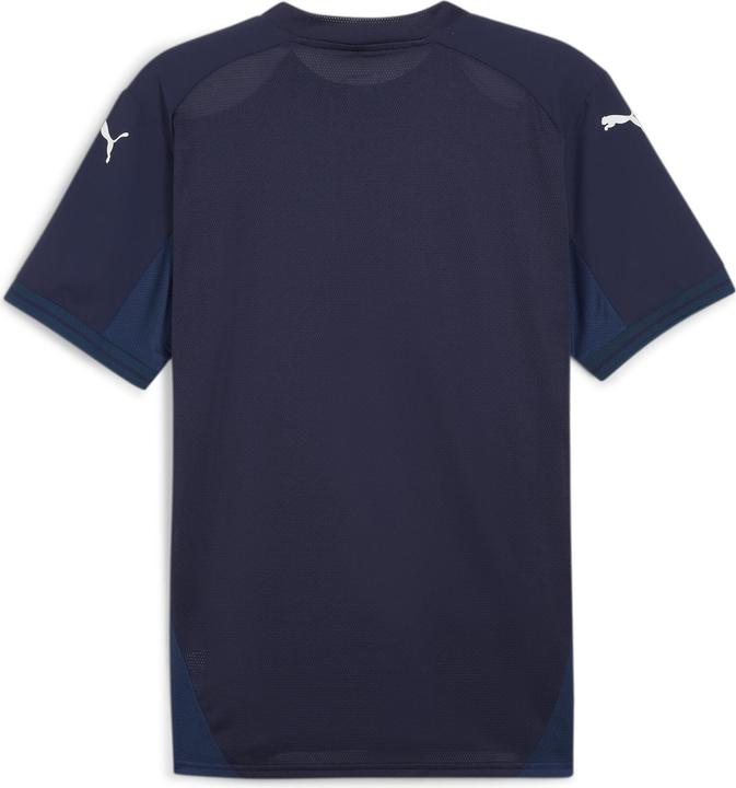 Actual product image Puma teamFINAL Jersey (M)