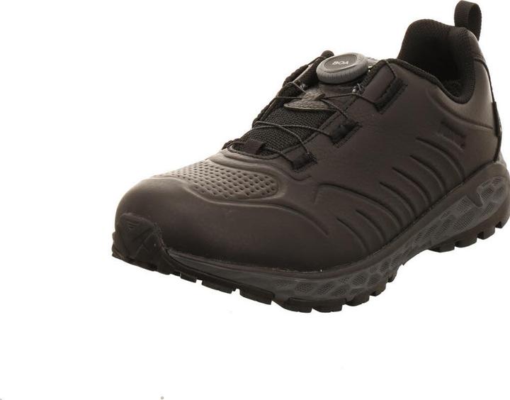 Produktbild Lowa Malta Walker GTX Lo Men Boa (43)