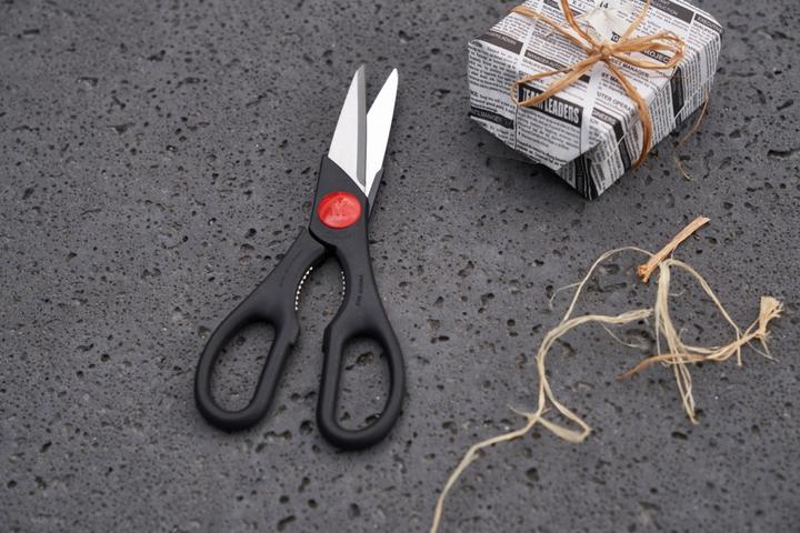 Actual product image Zwilling Multipurpose scissors Twin (20 cm)