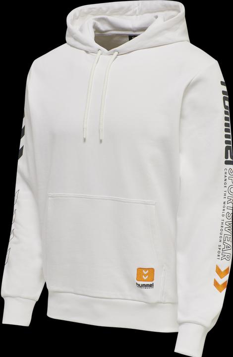 Actual product image hummel Lgc Birk Hoodie (S)