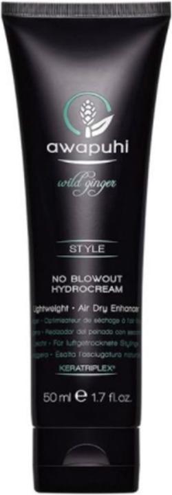 Produktbild Awapuhi Wild Ginger No Blowout HydroCream (50ml) Geschenk (Haarcreme, 50 ml)
