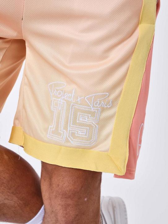 Actual product image Project X Paris basketball style shorts (XL)