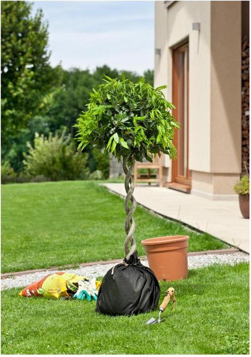 Immagine prodotto Windhager Vello di separazione per vasi