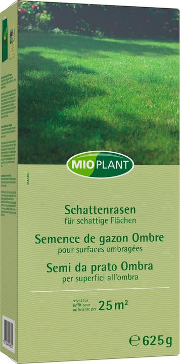 Mioplant Schattenrasen, 25 m2 (Rasensamen)