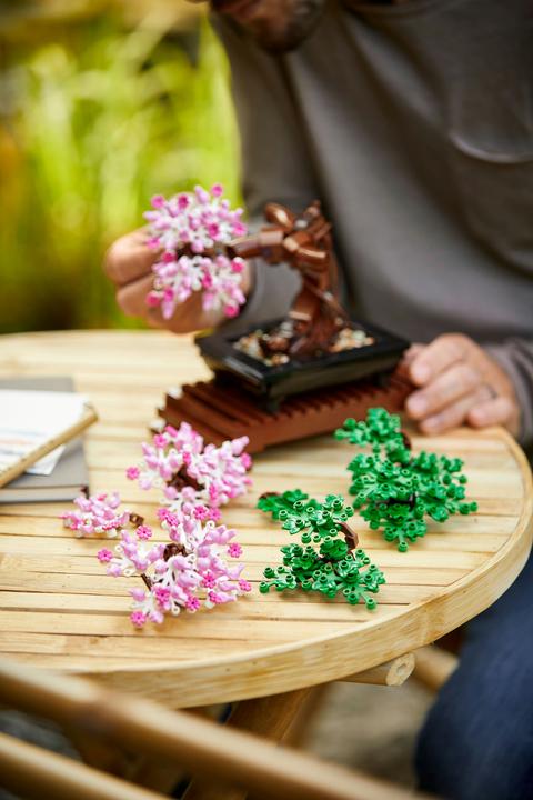 Produktbild LEGO Bonsai Baum (10281, LEGO Botanical, LEGO Icons)