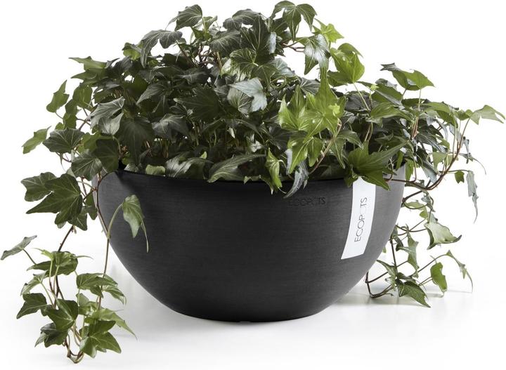 Actual product image Ecopots Brussels (25 cm)