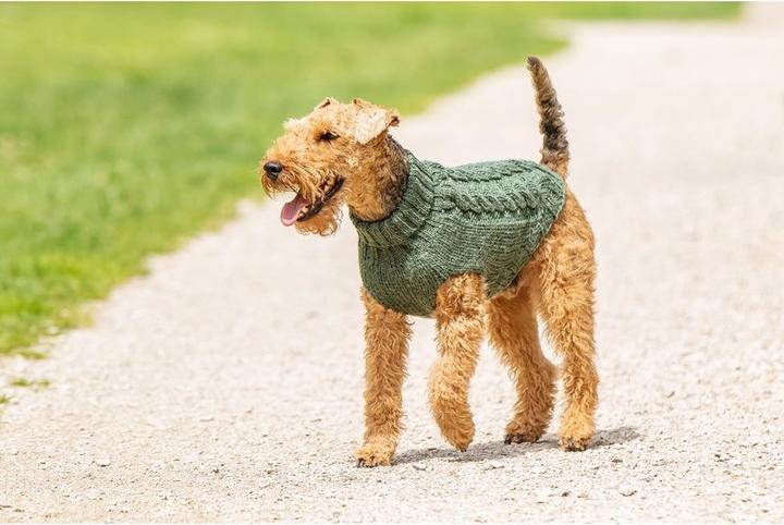Image du produit Chiara Pull Jade (20, Pull-over pour chien)