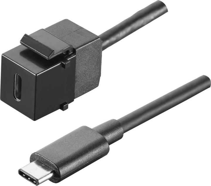 Bachmann USB 3,1 Type C Keystone Module (0.50 m, USB 3.1)