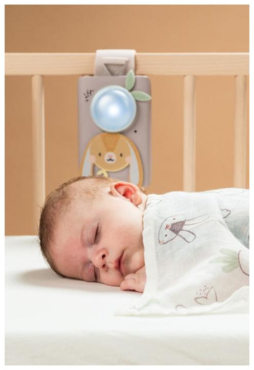 Image du produit Taf Toys Ensemble bébé apaisant lapin