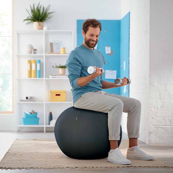 Image du produit Leitz Sitting Ball Ergo Cosy (65 cm)