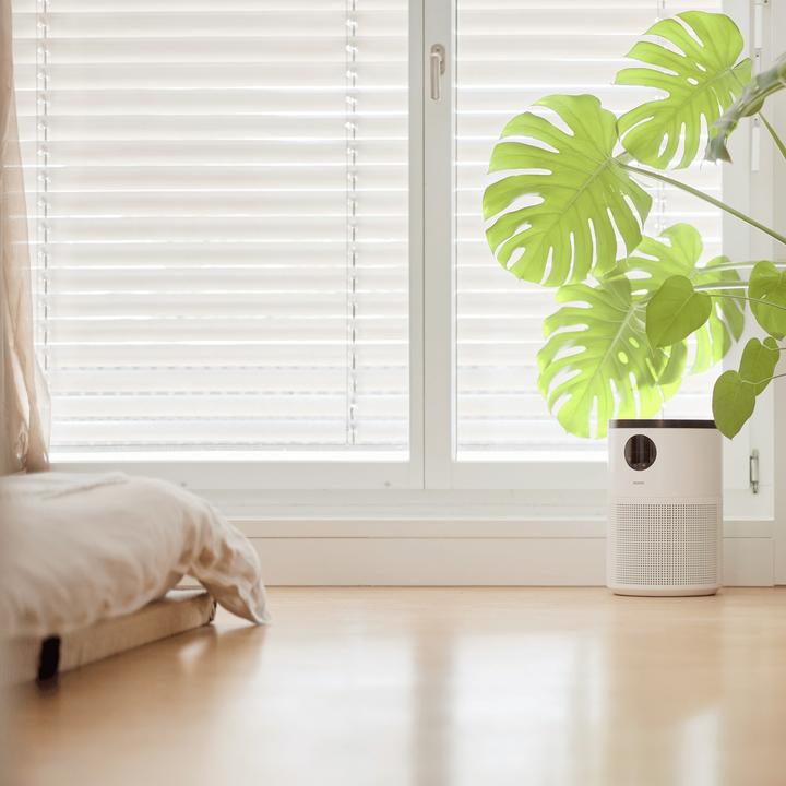 Produktbild ecofort ecoQ CleanAir 300+ (50 m²)