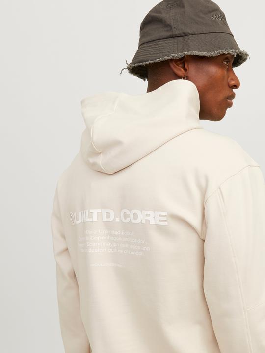 Immagine prodotto Jack & Jones Jcoaero Print Sweat Hood Noos (L)