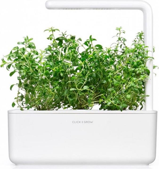 Image du produit Click and Grow Semences de sarriette des montagnes, paquet de 3 (Graines d'herbes aromatiques)