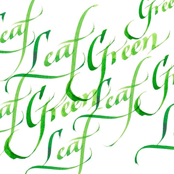 Immagine prodotto Winsor & Newton Foglia d'inchiostro calligrafico (Calamaio, Verde, 30 mm)