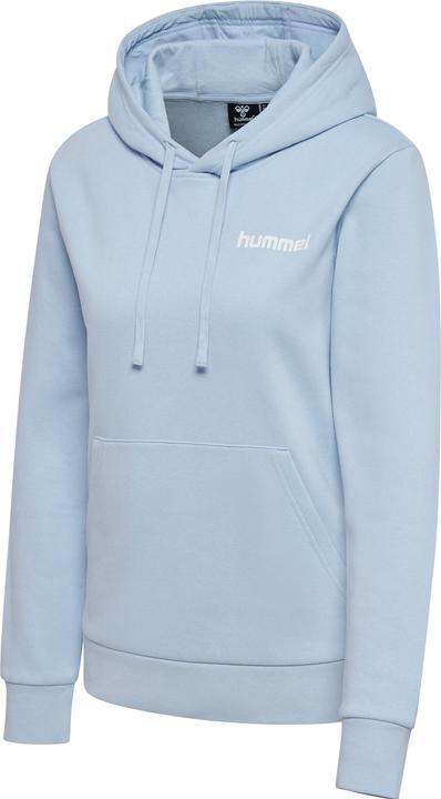 hummel Motion Co