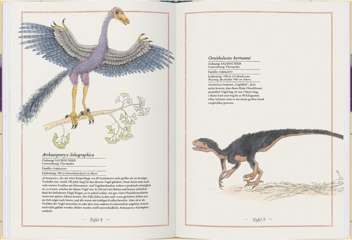 Produktbild Triceratops, T-Rex, Supersaurus (Deutsch, Emmanuelle Tchoukriel, Virginie Aladjidi, 2022)