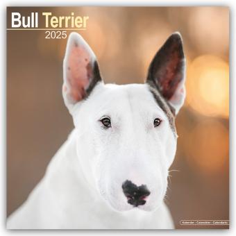 Produktbild Avonside Publishing Ltd:Bull Terrier - (305 x 305 mm, Deutsch)
