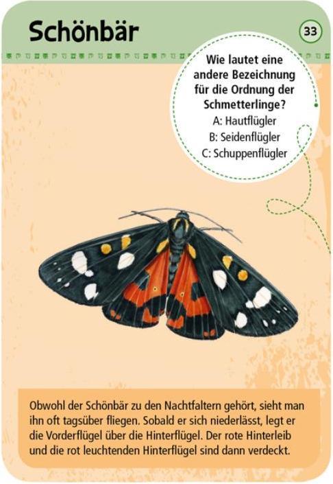 Actual product image 50 native butterflies (German)