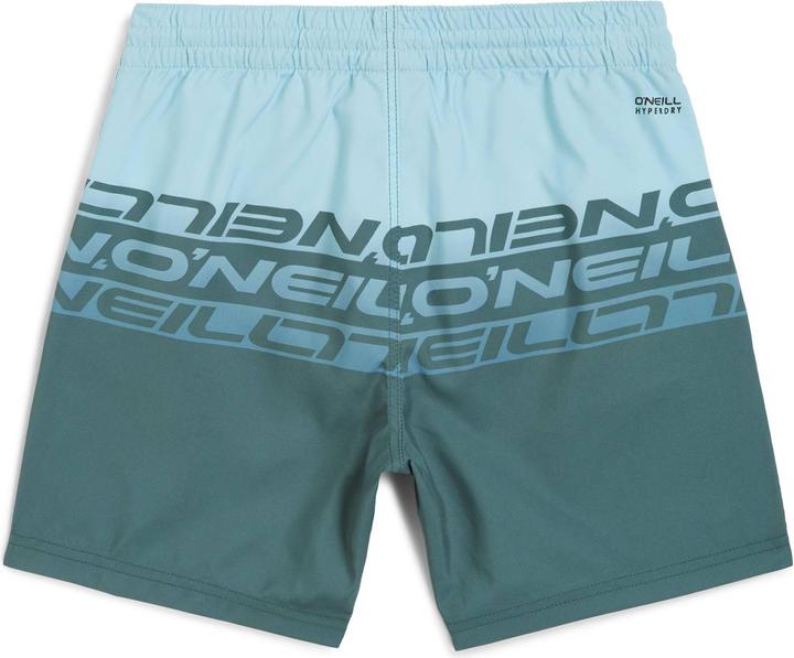 Actual product image O'Neill Cali Stripe 14" Swimshorts (128)