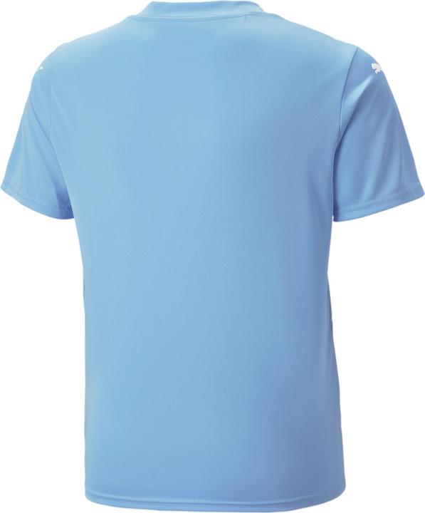 Actual product image Puma teamULTIMATE Jersey Jr (176)