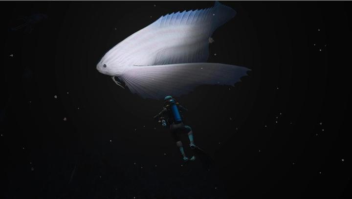 Image du produit Nintendo Endless Ocean Luminous (Switch, DE, FR, IT)