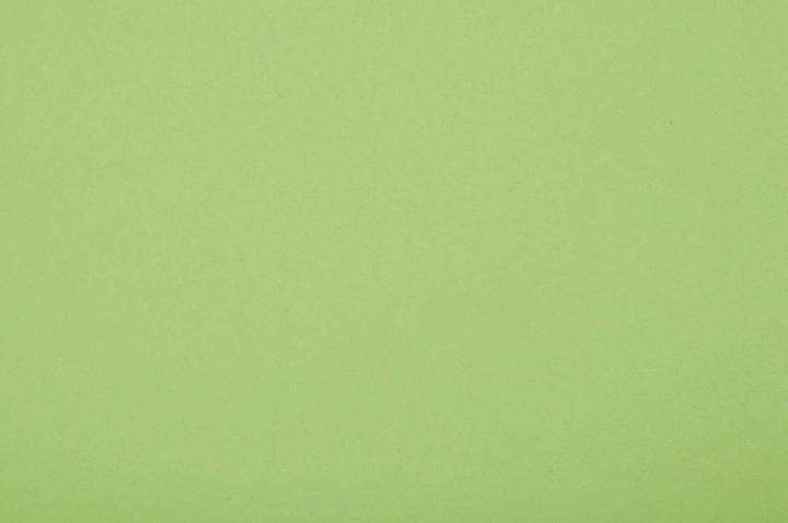 Immagine prodotto Folia Carta argilla, DIN A4, 130 g/mq, maigrn (130 g/m², 100 x)