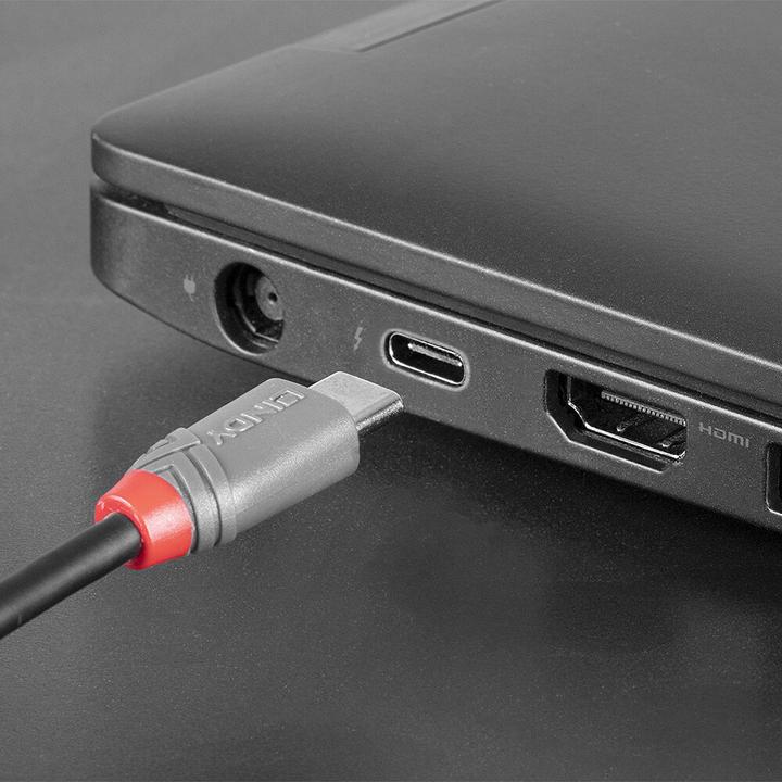 Immagine prodotto Lindy Anthra Line (0.50 m, USB 2.0)
