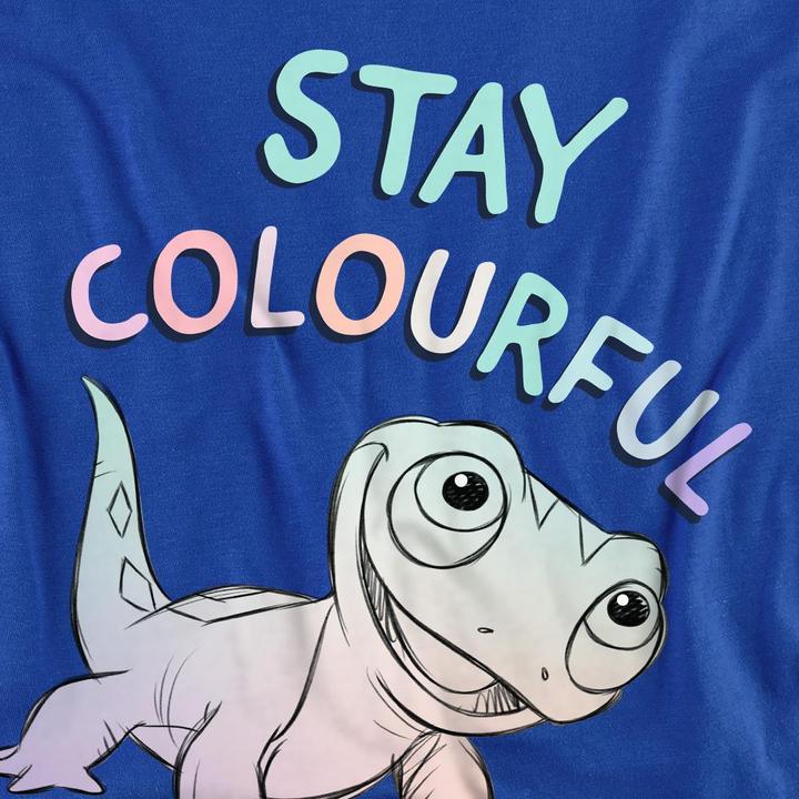 Immagine prodotto Disney Frozen Stay Colourful Maglietta Bruni Adulto Unisex (M)