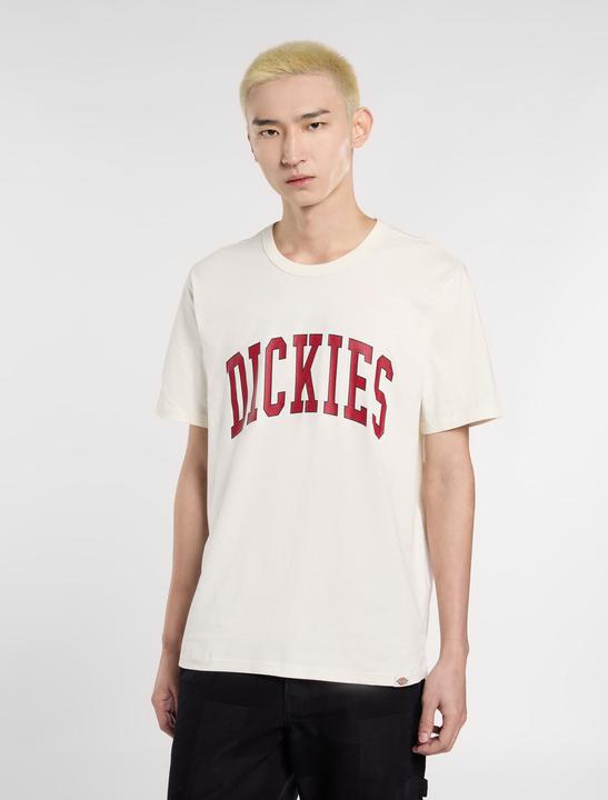 Actual product image Dickies Aitkin Tee Egret (S)