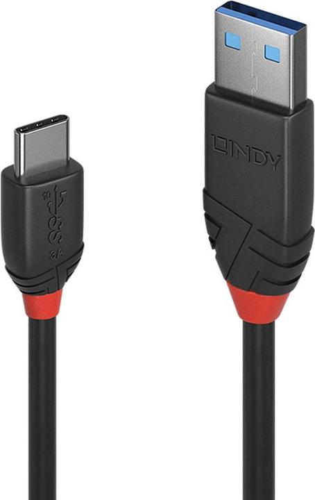 Actual product image Lindy black line (1 m, USB 3.1)