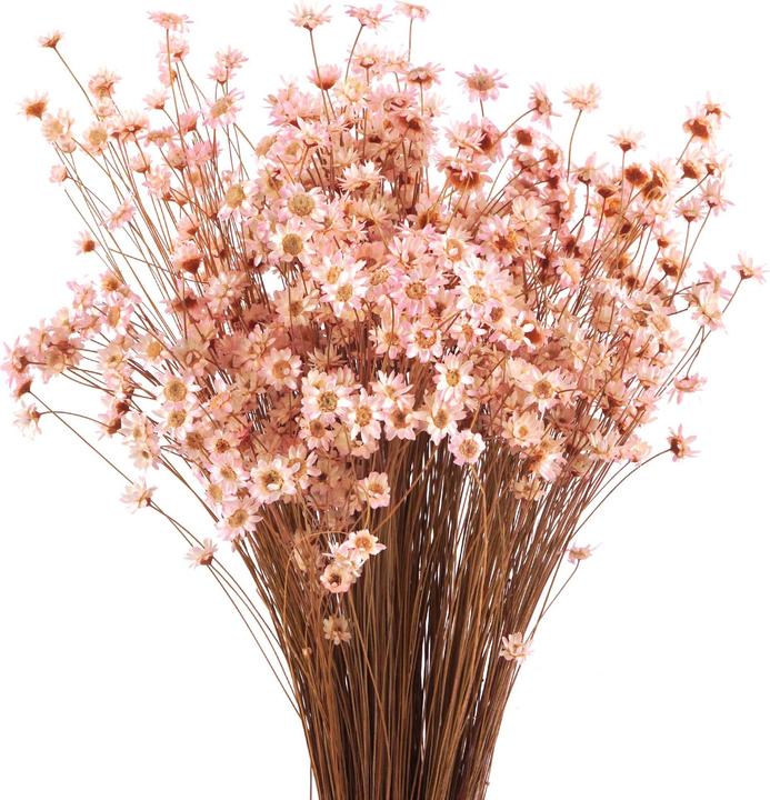 Geschenkkörbe CH Marcela Trockenblumen, rosa (Trockenblumen)