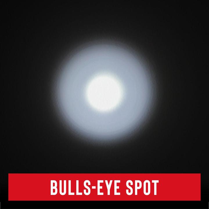 Actual product image Coast PS400 POLYSTEEL torch 570 lumens (14.60 cm, 500 lm)
