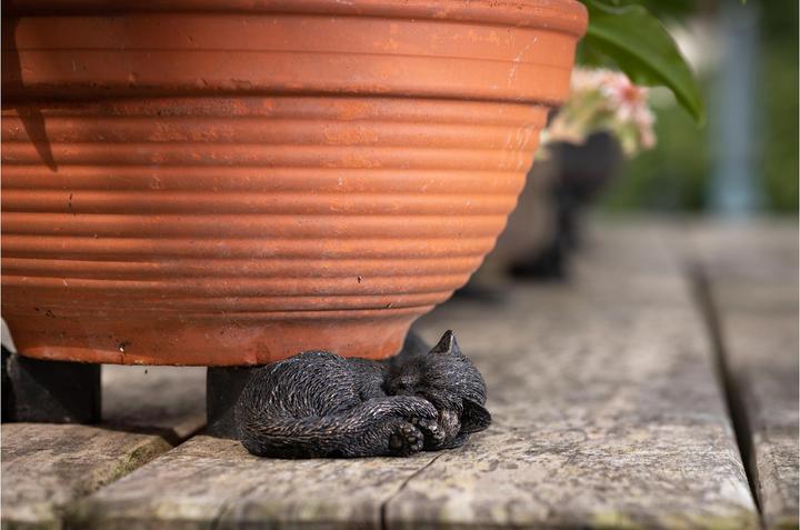 Image du produit Jardinopia Potty Feet Chat qui dort, lot de 3