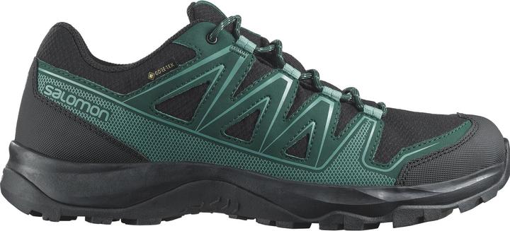Image du produit Salomon Kynthos GTX (44)