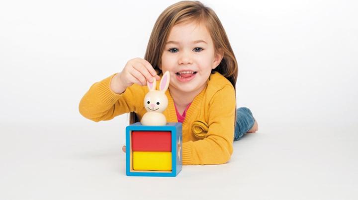 Actual product image Smart Games bunny boo (German, French, Italian, English)